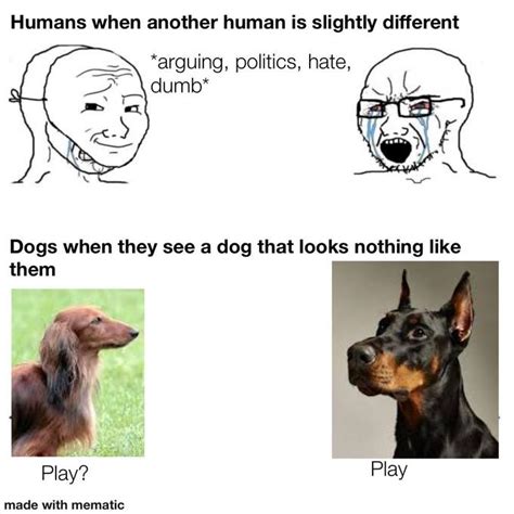 Inspired by a Doberman playing with a dachshund I saw today | /r/dankmemes | Dogs | Know Your Meme