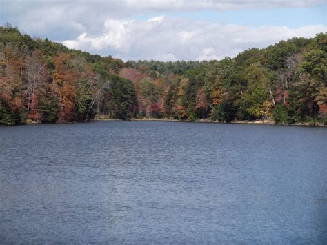 The beautiful Rose Lake in the fall near Hocking Hills, Ohio | Lodge rentals, State parks, Cabin ...