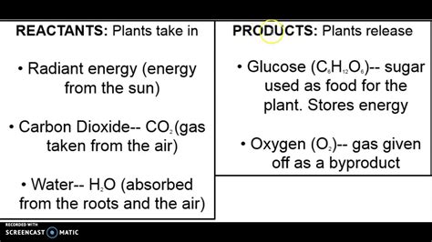 percymaz: [Download 38+] Get Photosynthesis Chemical Equation Reactants ...