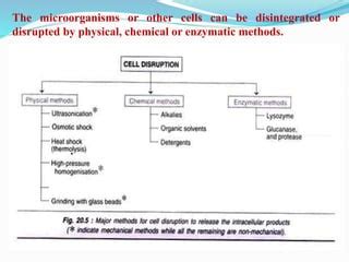 Cell disruption methods