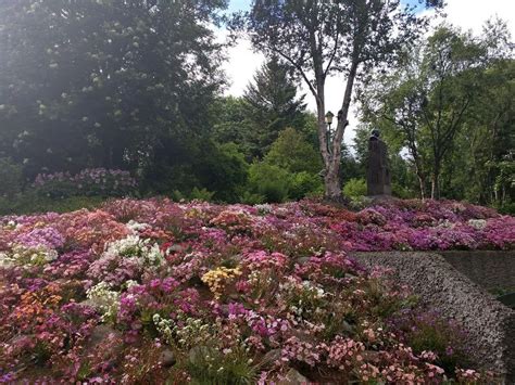 Akureyri Botanical Gardens | Wondermondo