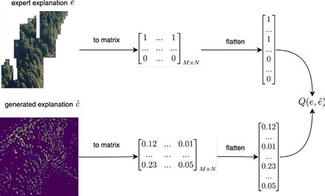 Explanation evaluation procedure for a saliency map image explanation,... | Download Scientific ...