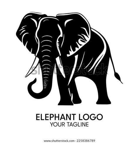 Best Elephant Front Silhouette Royalty-Free Images, Stock Photos ...