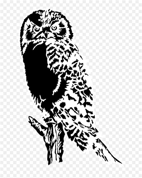 Owl In Tree Silhouette, HD Png Download - vhv