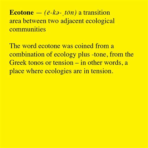 Ecotone | Newrope