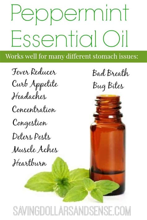 Everyday Essentials: Peppermint Essential Oil - Saving Dollars & Sense