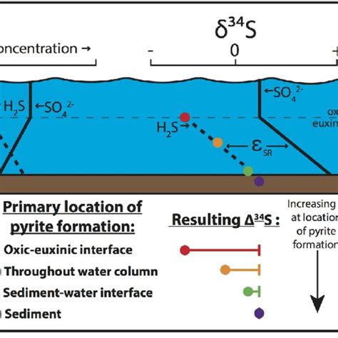 Schematic diagram showing how the location of pyrite formation... | Download Scientific Diagram