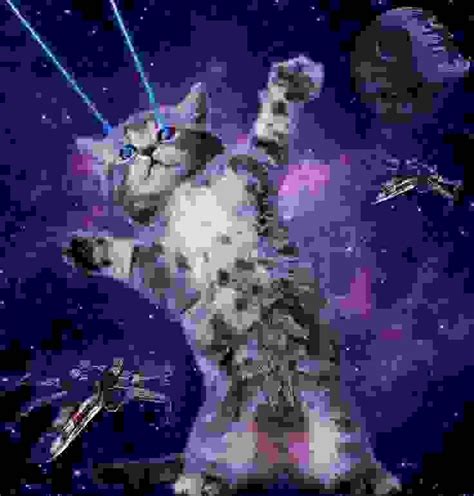 Create meme "cats in space, space cat, space cat" - Pictures - Meme-arsenal.com