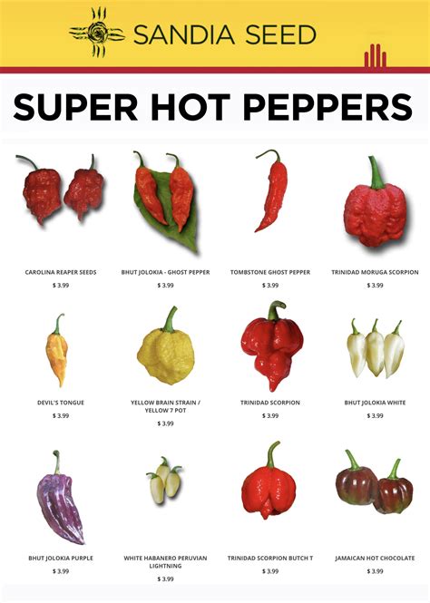 Types of Hot Peppers – Sandia Seed Company