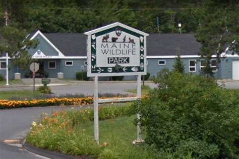 Maine Wildlife Park sets opening date for 2022 season – Vacation Apartment News | Airbnb & More