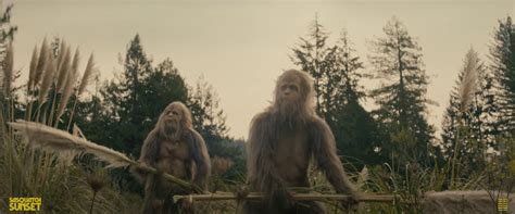 Everything You Need to Know About Sasquatch Sunset Movie (2024)