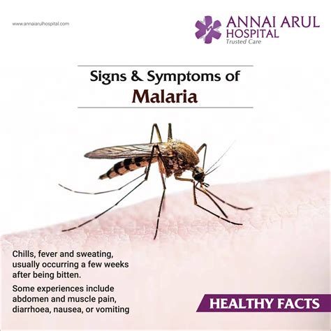 Signs & Symptoms of Malaria – Multispeciality Hospitals in Chennai