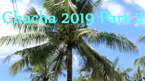 Chacha 2019 Instrumental Part 2 - YouTube