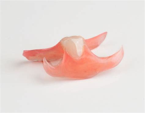 Order Nesbit Flexible Partial Denture | Dental Lab Direct