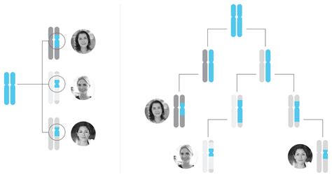 DNA Relatives In Common Report Feature – 23andMe Customer Care | Canada