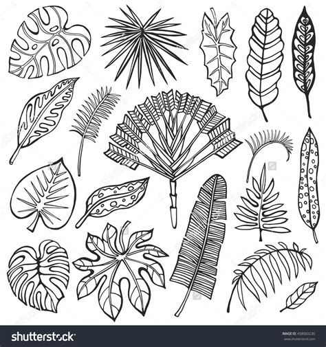 Image result for palm leaf drawing outline | Leaf drawing, Drawings, Leaf silhouette