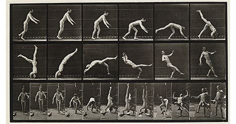 Animal Locomotion | Smith College Museum of Art