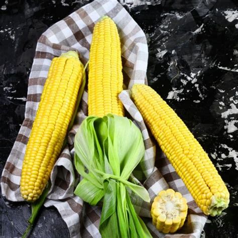 Can You Microwave Corn on the Cob Without Husk? (Answered!) - Can You Microwave This?