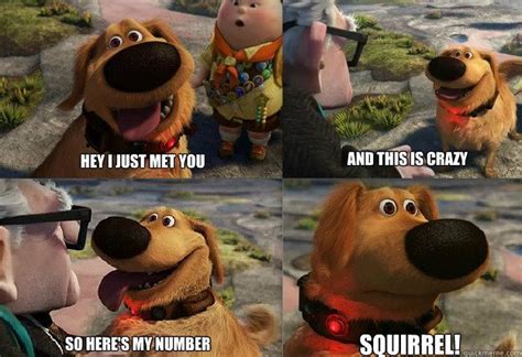 I just met you and I love you ~ Squirrel! Love this line from "Up" | Clean funny pictures ...