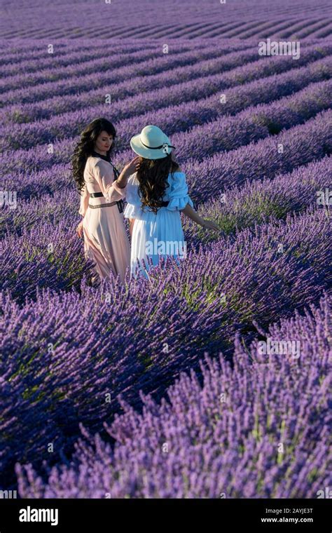 Russian models posing in lavender field on the Valensole plateau near ...