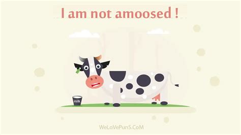 60 Cow Puns That Are Udderly Hilarious For Cow Lovers