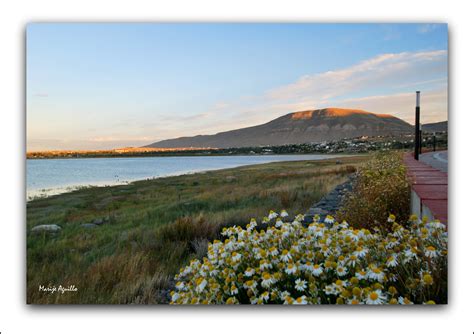 Orilla del lago Argentino Imagen & Foto | lago, flores, argentina Fotos de fotocommunity