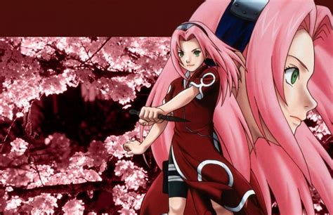 Download Naruto Anime Sakura Long Hair Wallpaper | Wallpapers.com