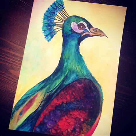 Peacock 🦚 Watercolor | Watercolor, Art, Watercolor projects