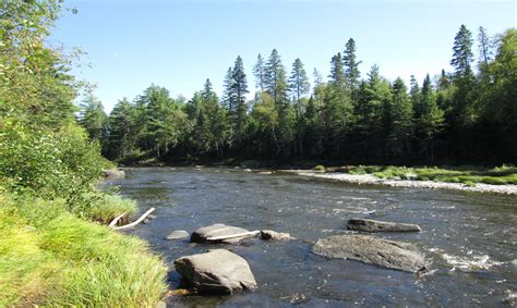 Penobscot River | American Rivers