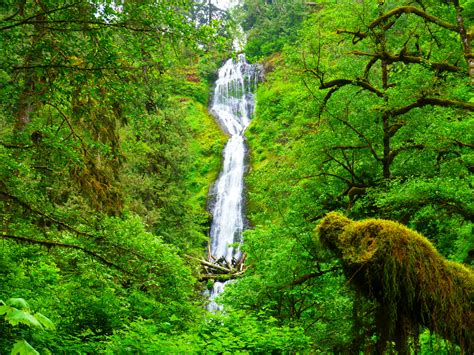 13 Top State Parks Oregon You Didn't Know Existed