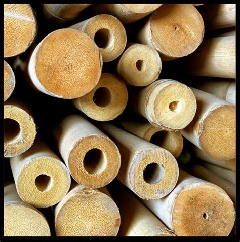 Commercial Grade Bamboo Poles for Strong Structures