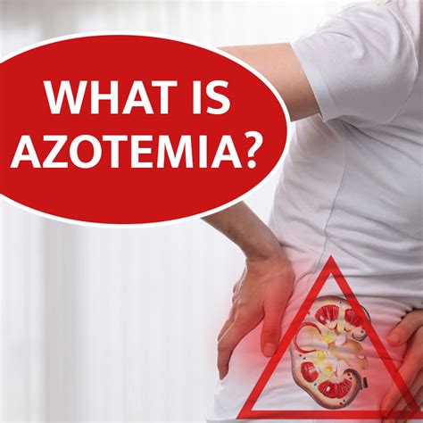 What Is Azotemia?