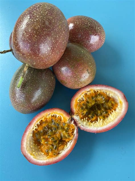 Purple Lilikoi/passionfruit Seeds/tropical Fruit/passiflora - Etsy