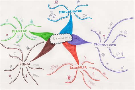 10.2 The 5 Kingdoms - a level biology student