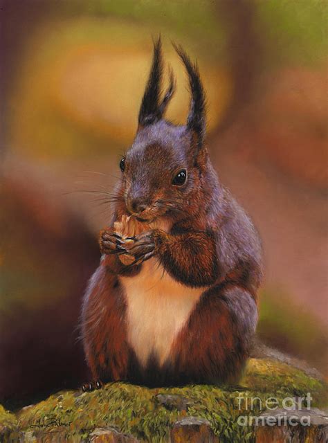 Red Squirrel Painting by John Palmer | Fine Art America