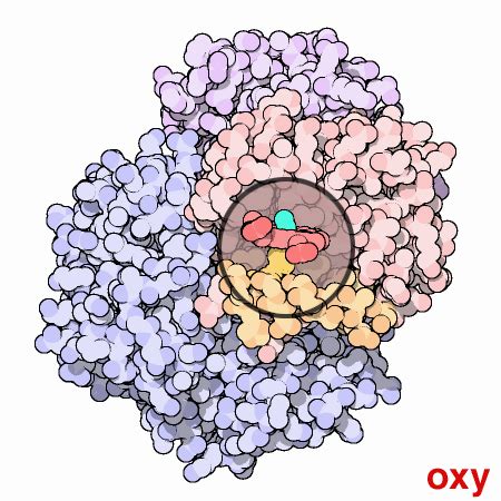 December | 2016 | Oxford Protein Informatics Group