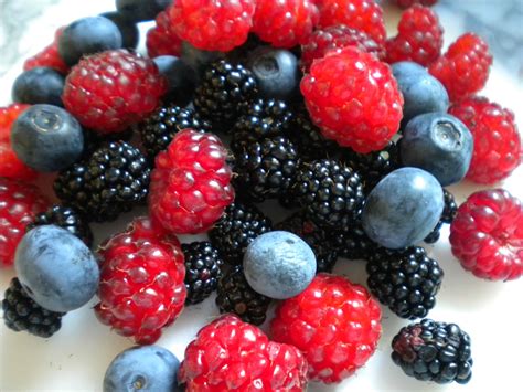 Antioxidant Berries - Which Berries Provide the Most Benefit to Our Vision