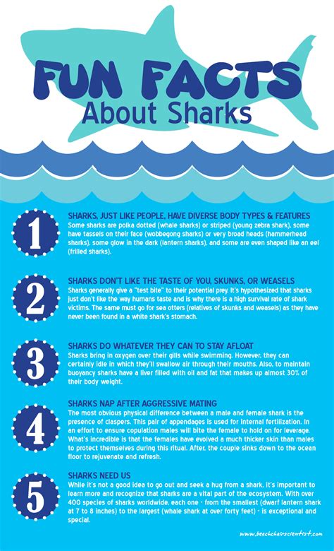 Fun Facts About Sharks - Infographic Facts