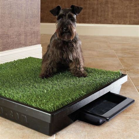 8930 large porch potty standard | Indoor dog potty, Dog potty, Dog grass box