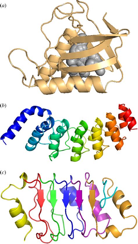 Lessons from pressure denaturation of proteins | Journal of The Royal Society Interface