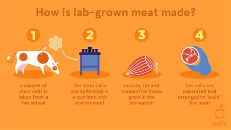 Lab grown meat: how it is made and what are the pros and cons | Eufic