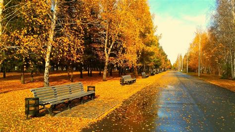 Autumn city wallpaper(1920*1080) : wallpaper