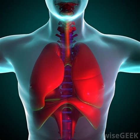 Parenchymal scarring is a type of scarring of the lung tissue. It can ...