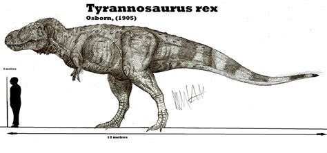 Tierra Jurásica: Tyrannosaurus rex vs Ankylosaurus