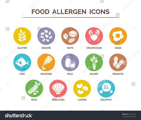 Food Allergies Symbols Stock Photos - 22,919 Images | Shutterstock