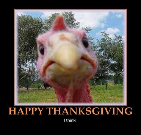 51 best THANKSGIVING images on Pinterest | Thanksgiving holiday, Happy thanksgiving and Happy ...