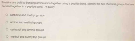 Solved: Proteins are built by bonding amino acids together using a peptide bond. Identify the ...