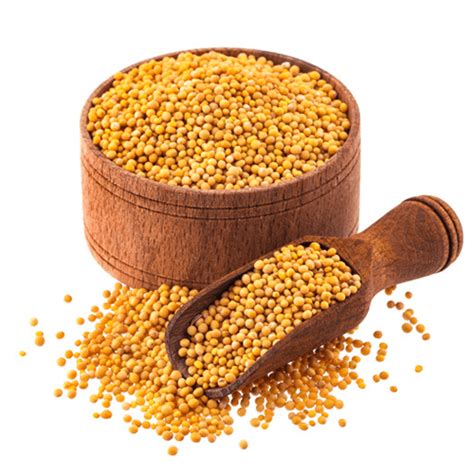 Yellow Mustard Seeds (100g) - EatRightBasket.com