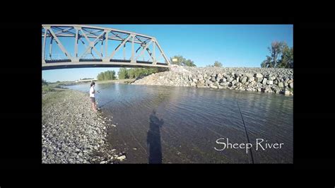 sheep river - YouTube