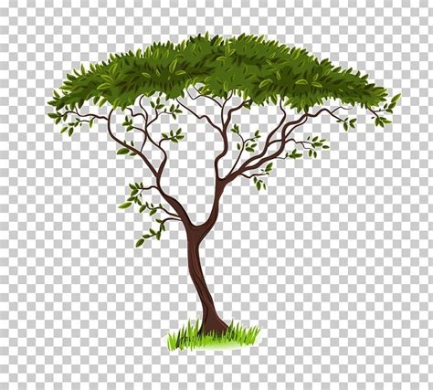 how to draw savanna trees - dayweddingoutfitguestindian